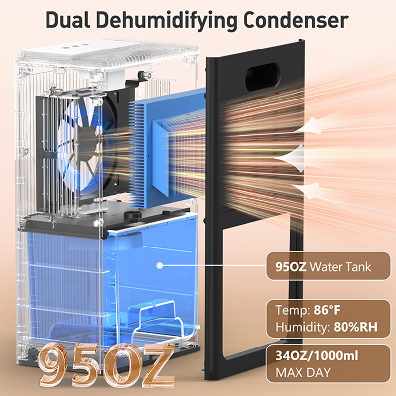 CT11 black and white